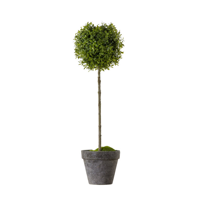 The Seasonal Aisle 45Cm Artificial Foliage Tree in Pot Wayfair.co.uk